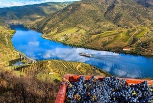 Private Tour: Wein und Essen im Douro-Tal ab Oporto