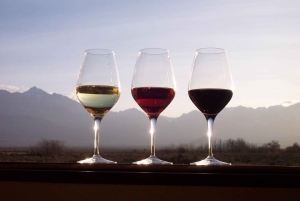 Private Tour: Wein und Essen im Douro-Tal ab Oporto