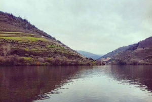 Private Tour: Wein und Essen im Douro-Tal ab Oporto