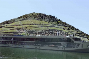 Private Tour: Wein und Essen im Douro-Tal ab Oporto