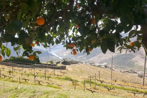 Private Tour: Wein und Essen im Douro-Tal ab Oporto