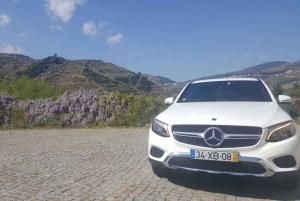 Private Tour: Wein und Essen im Douro-Tal ab Oporto