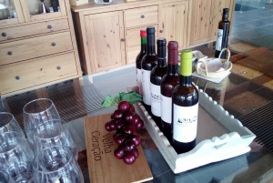 Private Tour: Wein und Essen im Douro-Tal ab Oporto