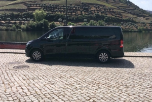 Private Tour: Wein und Essen im Douro-Tal ab Oporto