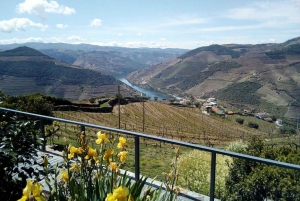 Private Tour: Wein und Essen im Douro-Tal ab Oporto