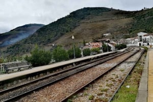 Private Tour: Wein und Essen im Douro-Tal ab Oporto