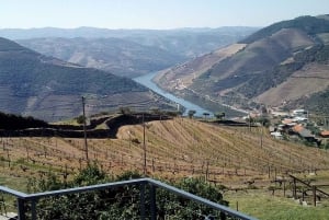 Private Tour: Wein und Essen im Douro-Tal ab Oporto
