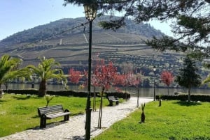 Private Tour: Wein und Essen im Douro-Tal ab Oporto