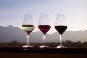 Private Tour: Douro Valley Wine and Food from Oporto