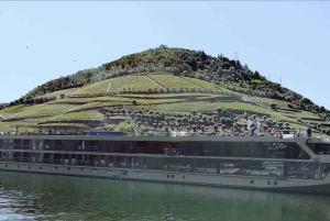 Private Tour: Douro Valley Wine and Food from Oporto
