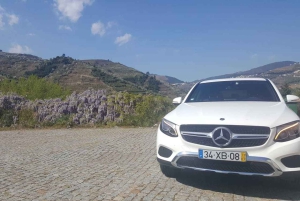 Private Tour: Douro Valley Wine and Food from Oporto