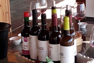 Private Tour: Douro Valley Wine and Food from Oporto