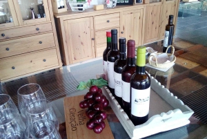Private Tour: Douro Valley Wine and Food from Oporto