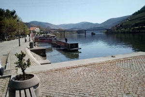 Private Tour: Douro Valley Wine and Food from Oporto
