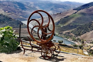 Private Tour: Douro Valley Wine and Food from Oporto