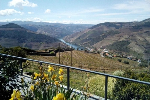 Private Tour: Douro Valley Wine and Food from Oporto