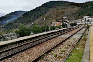 Private Tour: Douro Valley Wine and Food from Oporto