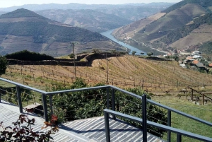 Private Tour: Douro Valley Wine and Food from Oporto