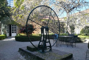 Private Tour: Douro Valley Wine and Food from Oporto