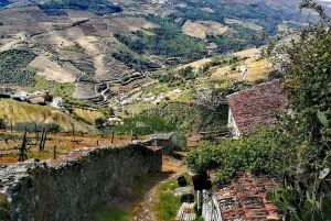 Private Tour: Douro Valley Wine and Food from Oporto