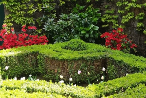 Private Tour: Douro Valley Wine and Food from Oporto