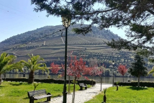 Private Tour: Douro Valley Wine and Food from Oporto
