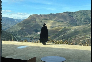 Private Tour: Douro Valley Wine and Food from Oporto