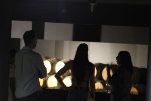 Private Tour: Douro Valley Wine and Food from Oporto