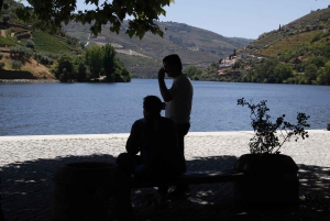 Private Tour: Douro Valley Wine and Food from Oporto