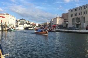 Tour privato da Lisbona a Porto passando per Fatima, Nazare e Aveiro