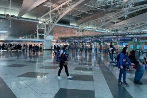 Privat transport fra Porto lufthavn til hotell/overnatting