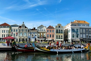 Private transfer from Porto to Lisbon (or vice versa) with up to 4 cultural stops