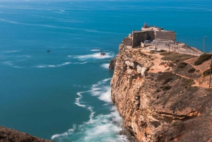 Private transfer from Porto to Lisbon (or vice versa) with up to 4 cultural stops