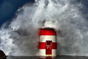 Traslado Privado - Lisboa->Porto+Obidos/Aveiro/Fatima/Nazare