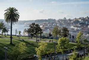 Transfer Privado - Lisboa->Porto+Obidos/Aveiro/Fatima/Nazare