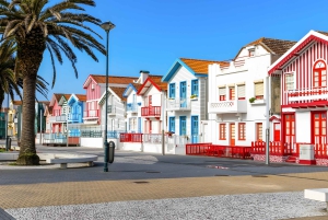 Transfer Privado - Lisboa->Porto+Obidos/Aveiro/Fatima/Nazare