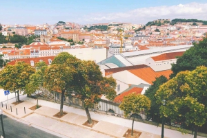 Transfer Privado - Lisboa->Porto+Obidos/Aveiro/Fatima/Nazare