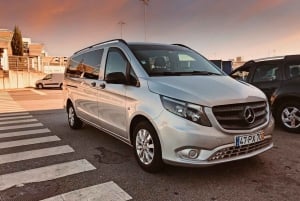 Privat transport fra Porto Lufthavn (OPO) til byens centrum