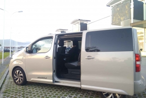 Transfert privé de Porto à/de Lisbonne + arrêts aux attractions