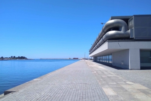 Transfert privé de Porto à/de Lisbonne + arrêts aux attractions