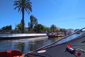 Transfert privé de Porto à/de Lisbonne + arrêts aux attractions