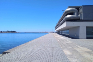 Privat transport fra Porto til/fra Lisboa + stopp ved severdigheter