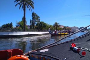 Privat transport fra Porto til/fra Lisboa + stopp ved severdigheter