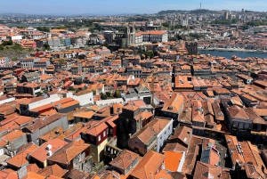 Excursão particular a pé no Porto, incluindo ingresso para a Livraria Lello
