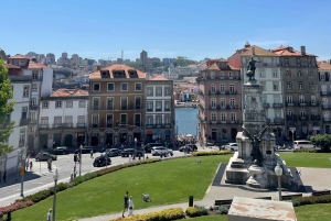 Excursão particular a pé no Porto, incluindo ingresso para a Livraria Lello