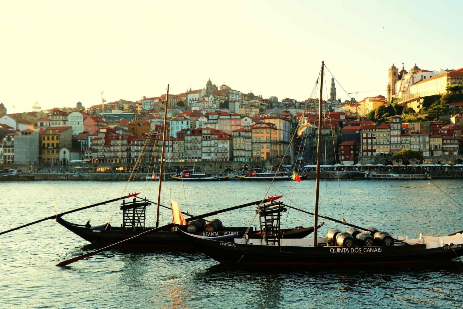 Kapinalliset ja Invicta: Porton liberaali kaupunkikierros paikallisen oppaan kanssa