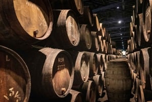 Kapinalliset ja Invicta: Porton liberaali kaupunkikierros paikallisen oppaan kanssa