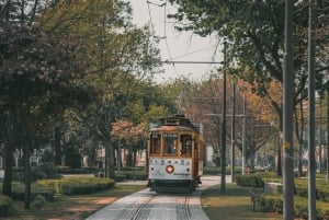 Kapinalliset ja Invicta: Porton liberaali kaupunkikierros paikallisen oppaan kanssa