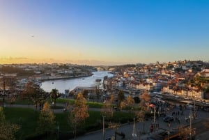 Kapinalliset ja Invicta: Porton liberaali kaupunkikierros paikallisen oppaan kanssa