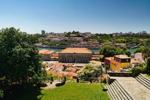 Kapinalliset ja Invicta: Porton liberaali kaupunkikierros paikallisen oppaan kanssa